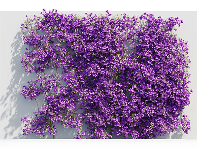 Dense Purple Flowering Vines With Lush Blooms Decorating White Wall Background 3d model