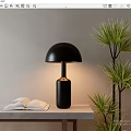 Black Table Lamp With Dome Shade Cylindrical Base On Table Near Open Book Green Plant