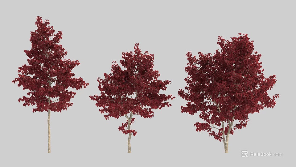 Three Red Leaf Arbor Trees With Lush Vibrant Foliage In Garden Landscape 3d model 