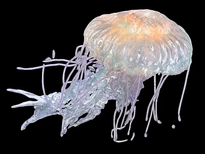 Delicate Translucent Jellyfish With Iridescent Bell Shaped Body And Flowing Tentacles 3d model