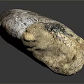 Ancient Organ Fossil Featuring Natural Brown And Beige Textured Surface