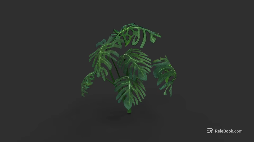 Botanical Plant Painting With Green Monstera Leaves And Foliage Artwork Design 3d model 