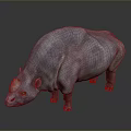 Realistic Gray Rhino 3D Render With Large Body And Detailed Skin Texture