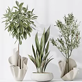 Natural Fresh Garden Decor With Olive Trees Large Leafy Plants In White Pots