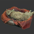 An orange cat lying comfortably in a soft red pet bed against dark background