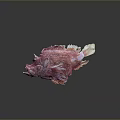 Unique Pink Patterned Fish With Intricate Textured Body Against Dark Background 3d model