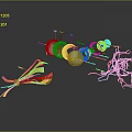 Organ And Hair Structure Detailed Scientific Visualization With Microscopic Anatomy Components 3d model