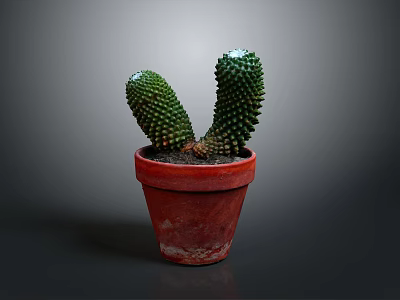 Green Spiky Cactus Plant in Red Terracotta Pot with Two Branches on Dark Background 3d model