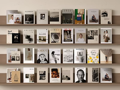 Diverse Books And Magazines On Shelves With Various Cover Designs And Artworks 3d model