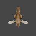 Detailed Giraffe Head 3D Model With Spotted Pattern Horns And Ears