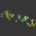 Colorful Decorative Plants With Various Leaf Shapes And Green Yellow Leaves On Dark Background