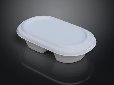 White Foam Food Container With Two Compartments And Secure Fitted Lid 3d model