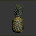 Fresh Ripe Pineapple with Green Leaves and Juicy Yellow Skin