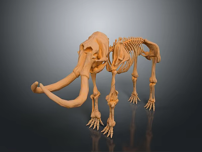 Anatomical Structure Of Mammoth Skeleton Showing Bone Organs And Prehistoric Hair Traces 3d model