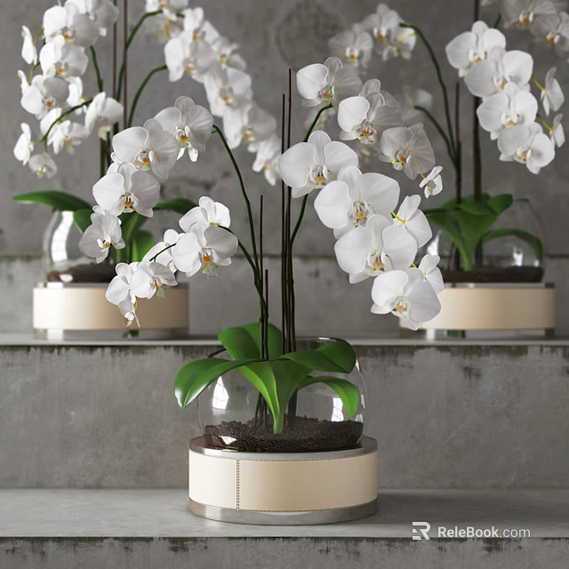 White Orchid Bonsai Potted Plants In Transparent Glass Vase With Green Leaves And Round Base 3d model 