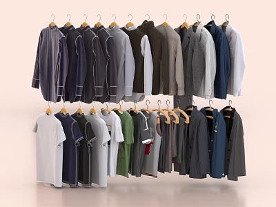 Assorted Clothes on Hangers with Various Colors Styles Long and Short Sleeve Tees Neatly Arranged 3d model