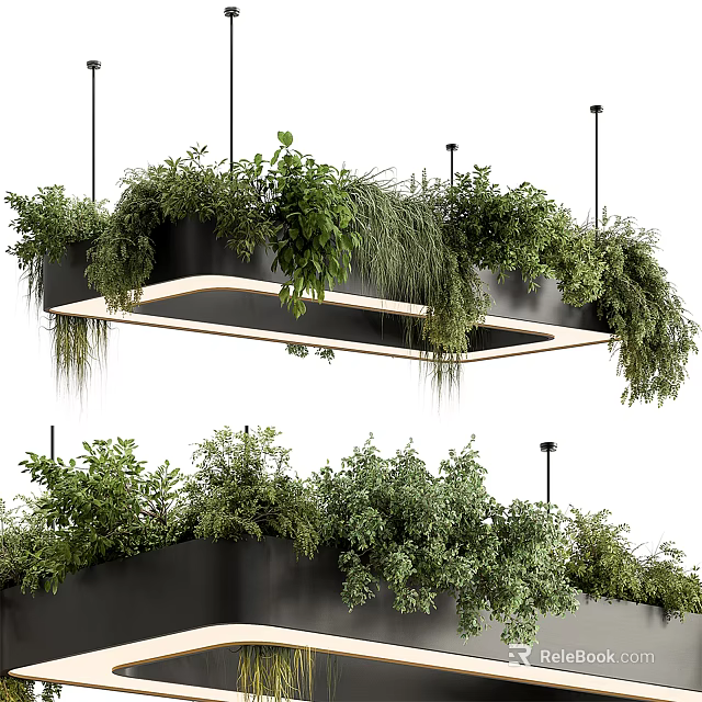 Hanging Basket Plants With Lush Green Foliage And Modern Hanging Design 3d model 