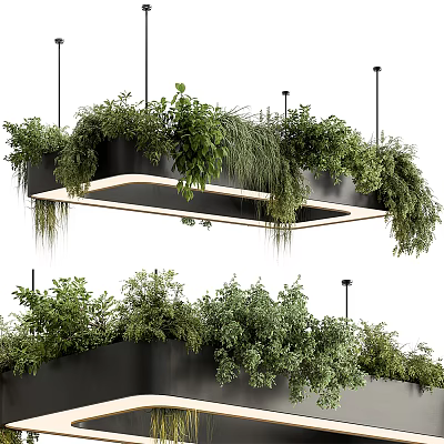 Hanging Basket Plants With Lush Green Foliage And Modern Hanging Design 3d model