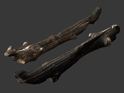 Natural Stone and Wood Decorative Pieces with Unique Organic Texture Patterns 3d model