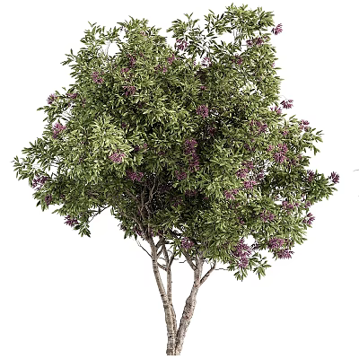 Lush Flowering Arbor With Green Leaves And Purple Blossoms In Garden Setting 3d model