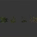Various Types of Green Plants Including Ferns and Herbs Arranged on Gray Background