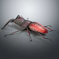 Detailed Close Up View Of Red And Black Reptile Lizard With Unique Body Structure On Gray Surface