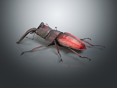 modern saw spade insect 3d model