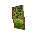 Interior Living Plant Wall Design With Layered Sections Diverse Foliage And Wooden Frame