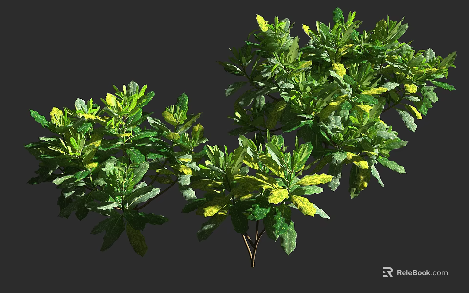 Lush Green and Yellow Leaf Shrubs with Dense Foliage and Branchy Growth 3d model 