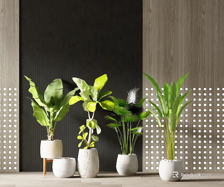 Various Green Bonsai Potted Plants In Simple White Pots With Modern Wooden Background 3d model 