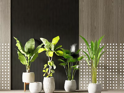 Various Green Bonsai Potted Plants In Simple White Pots With Modern Wooden Background 3d model