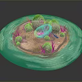 Turquoise Circular Water Surrounding Small Island With Wooden Boat Rocks And Grass Tufts