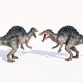 Two Sail Backed Reptiles Confronting Each Other With Open Mouths 3d model