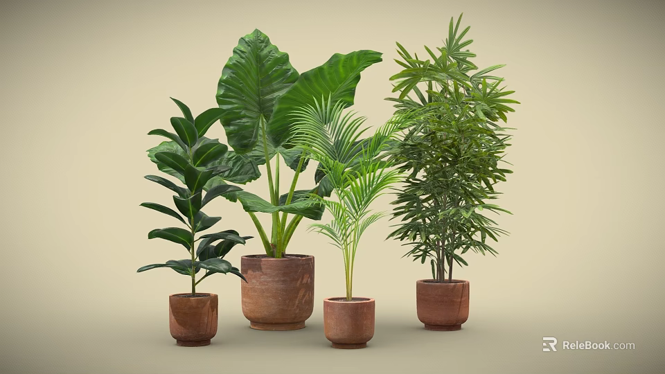 Bonsai Potted Plants with Various Green Leaves in Terracotta Pots for Indoor Decorative 3d model 