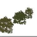 Three Arbor Trees With Green And Yellow Foliage Against Dark Background 3d model