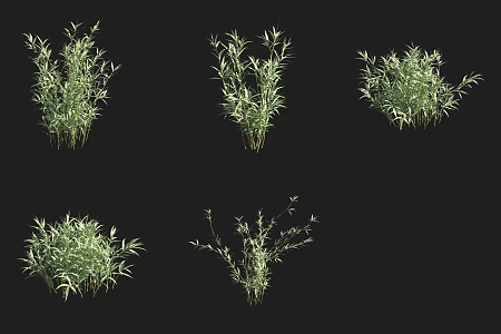 astringent bamboo forest 3d model