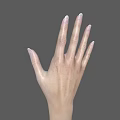 Human Hands and Arms with Different Skin Tones on Gray Background 3d model