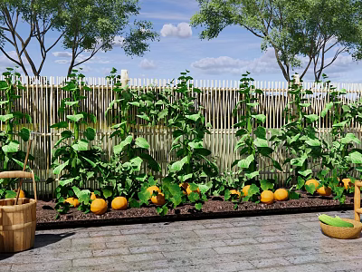 Modern Vegetable Garden Beautiful Countryside Courtyard Vegetable Growing Vegetable Garden One Meter Vegetable Garden Bamboo Fence Cucumber Pumpkin Bamboo Table Stool 3d model