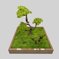 Arbor with Green Leaves in Square Planter Landscape with Grass and Small Shrubs