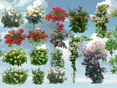 Various Colorful Flowering Shrubs Featuring Yellow Red Pink Blooms And Green Foliage 3d model
