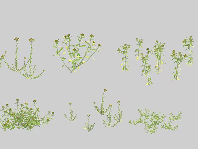 Various Green Leafy Plants With Yellow Blooms In Different Growth Forms 3d model