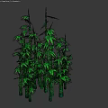 Lush Green Bamboo Plants With Multiple Stems And Fresh Leaves On Dark Background