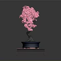Pink Flowering Bonsai Tree in Blue Pot on Red Tray With Small White Decorations