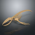 Anatomical Organ Structure of Aquatic Animal Skeleton with Light Color and Dark Background Reflection