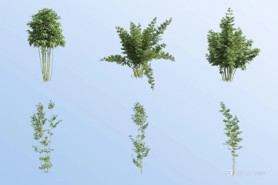Various Bamboo Species With Lush Green Foliage And Different Growth Forms 3d model 