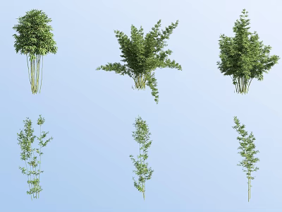 Various Bamboo Species With Lush Green Foliage And Different Growth Forms 3d model
