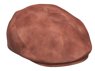 Paddy Hat Casual Hat Cowboy Hat Fur 3d model Paddy Hat Casual Hat Cowboy Hat Fur 3d model