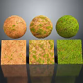 Three Textured Spheres and Cubes with Green and Brown Mossy Surfaces in 3D Render