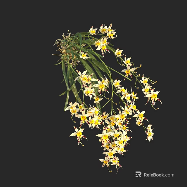 White And Yellow Flowers With Green Leaves Hanging Gracefully Against Black Background 3d model 