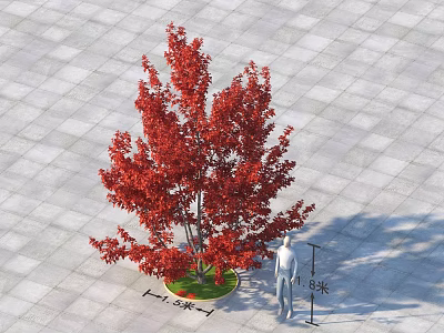 Tall Red Leaf Tree With Circular Green Area And 4.8m Height On Square Tiled Ground 3d model